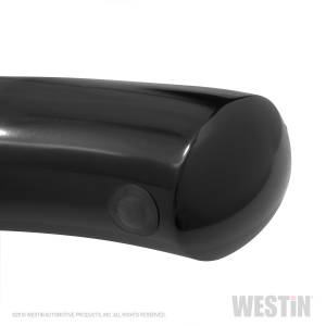 Westin - 2019 - 2022 Ram Westin PRO TRAXX 4 Oval Nerf Step Bars - 21-24080 - Image 9