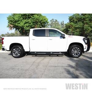 Westin - 2019 - 2022 GMC, Chevrolet Westin PRO TRAXX 4 Oval Nerf Step Bars - 21-24135 - Image 11