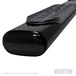 Westin - 2019 - 2022 GMC, Chevrolet Westin PRO TRAXX 6 Oval Nerf Step Bars - 21-64135 - Image 4